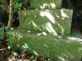 image of grave number 94048